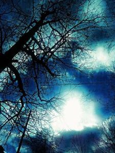 Photo de Stephen Welch (2014)