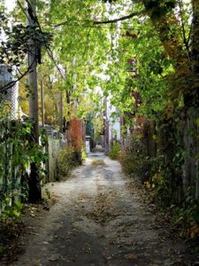 487639_10202681967596828_1213448732_n