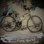 Bicyclette_Petite fille triste_Juin 2018_LI